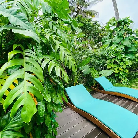 Spicepeek Boutique Hotel Cmb Airport-2